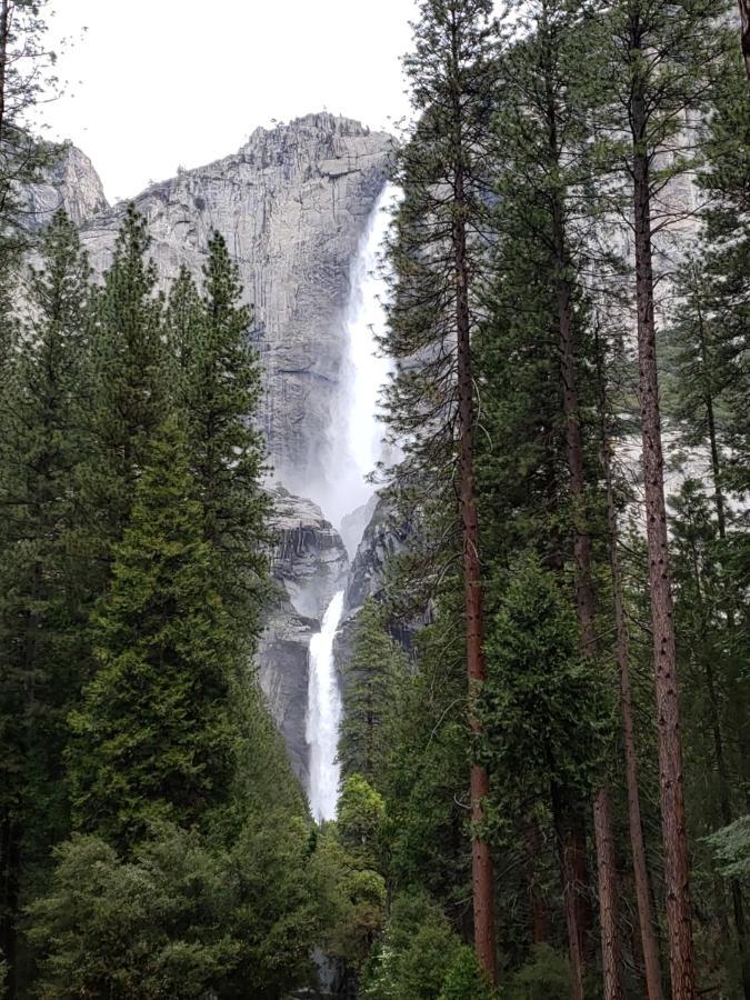Yosemite Foothill Retreat - Private Guest Suite #3 Coarsegold Bagian luar foto